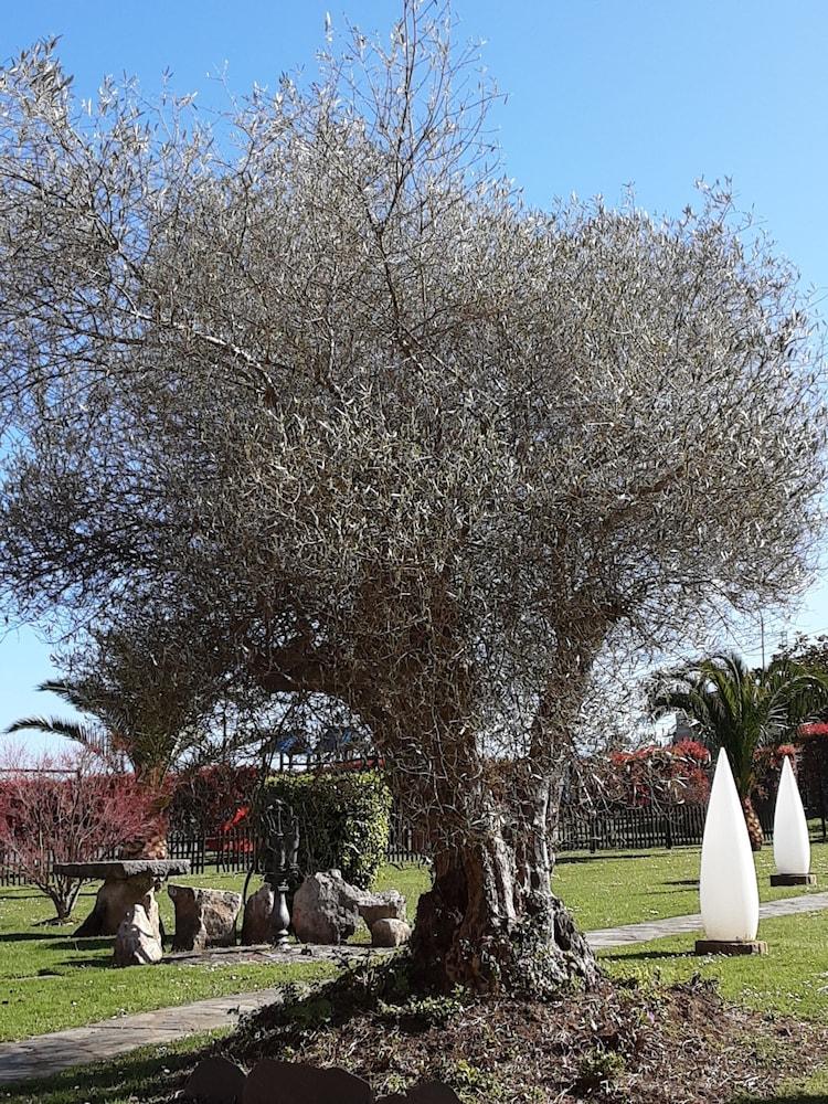 Hotel Marqués de la Moral Naveces Esterno foto